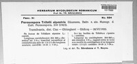 Image Associated With the Occurence